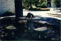 1993-08 - sul giardino sul tavolino